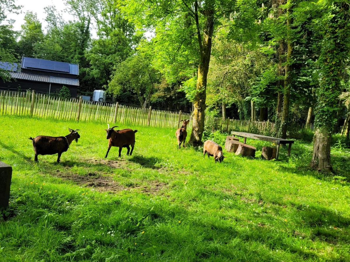 Pastorie Waaxens B&B 외부 사진